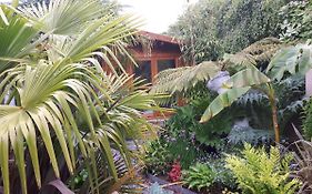 Cabin Set In A Beautiful Romantic Tropical Garden