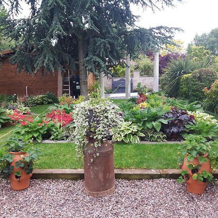 Cabin Set In A Beautiful Romantic Tropical Garden Sutton Coldfield Exterior photo