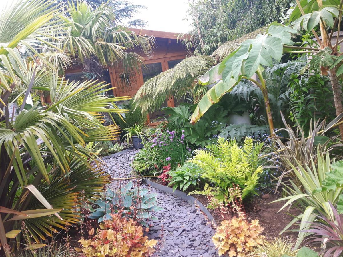 Cabin Set In A Beautiful Romantic Tropical Garden Sutton Coldfield Exterior photo
