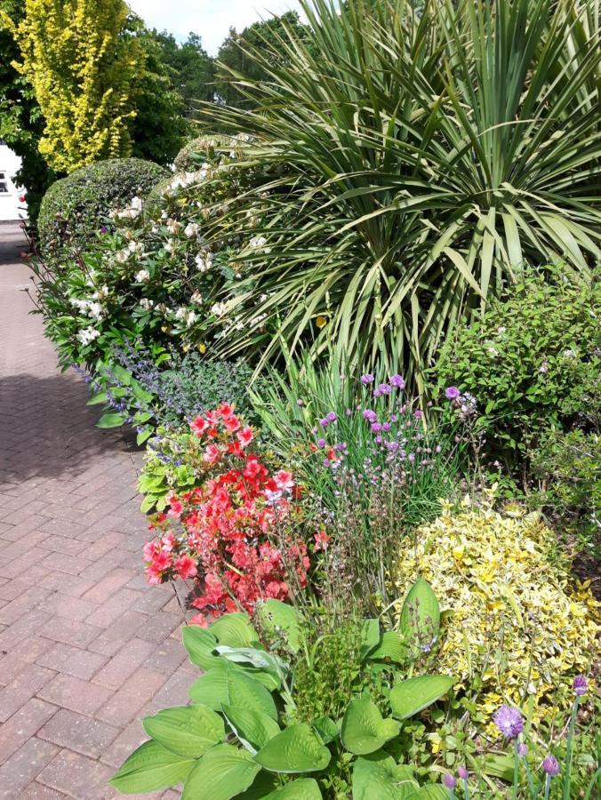 Cabin Set In A Beautiful Romantic Tropical Garden Sutton Coldfield Exterior photo
