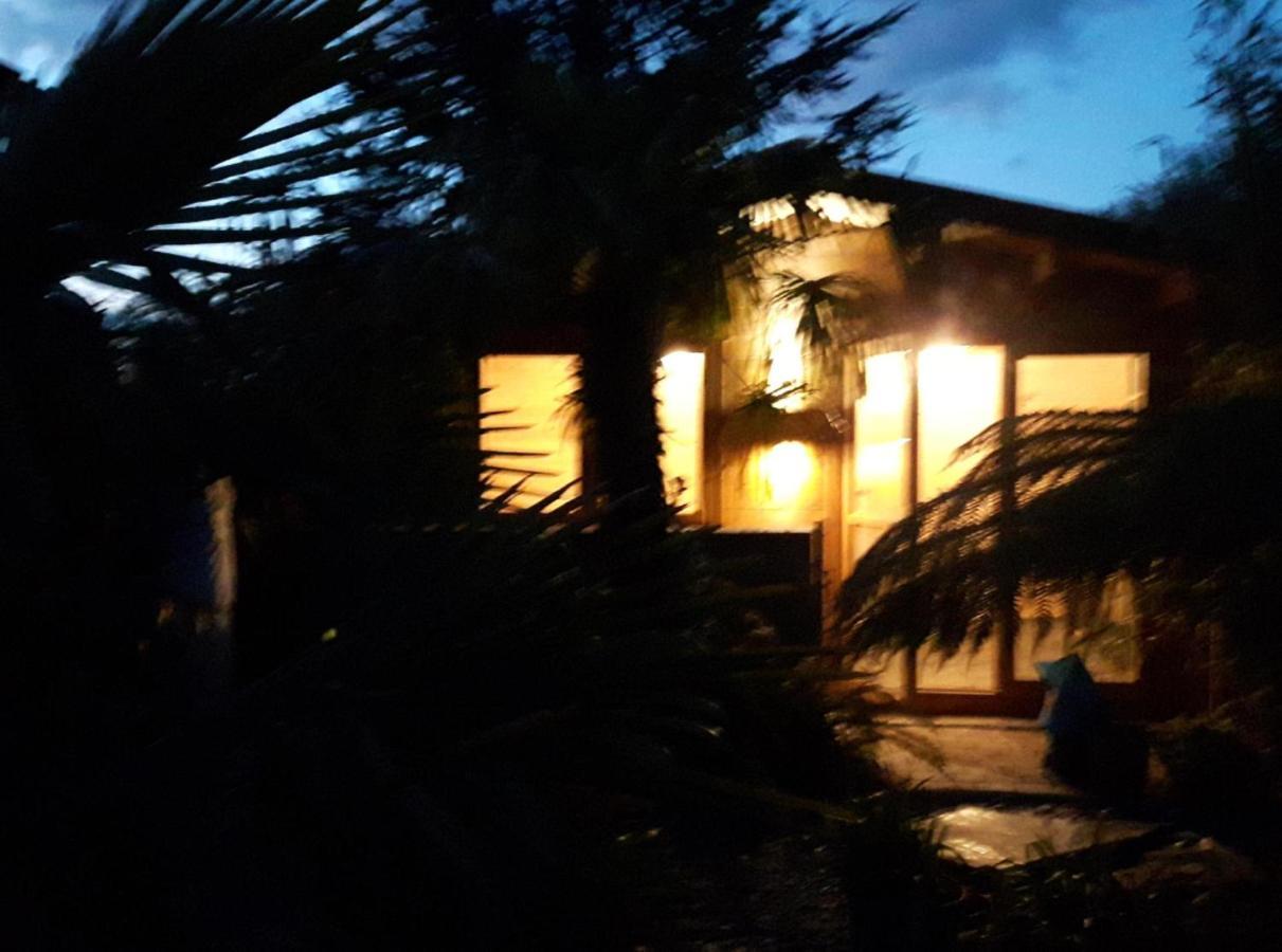 Cabin Set In A Beautiful Romantic Tropical Garden Sutton Coldfield Exterior photo