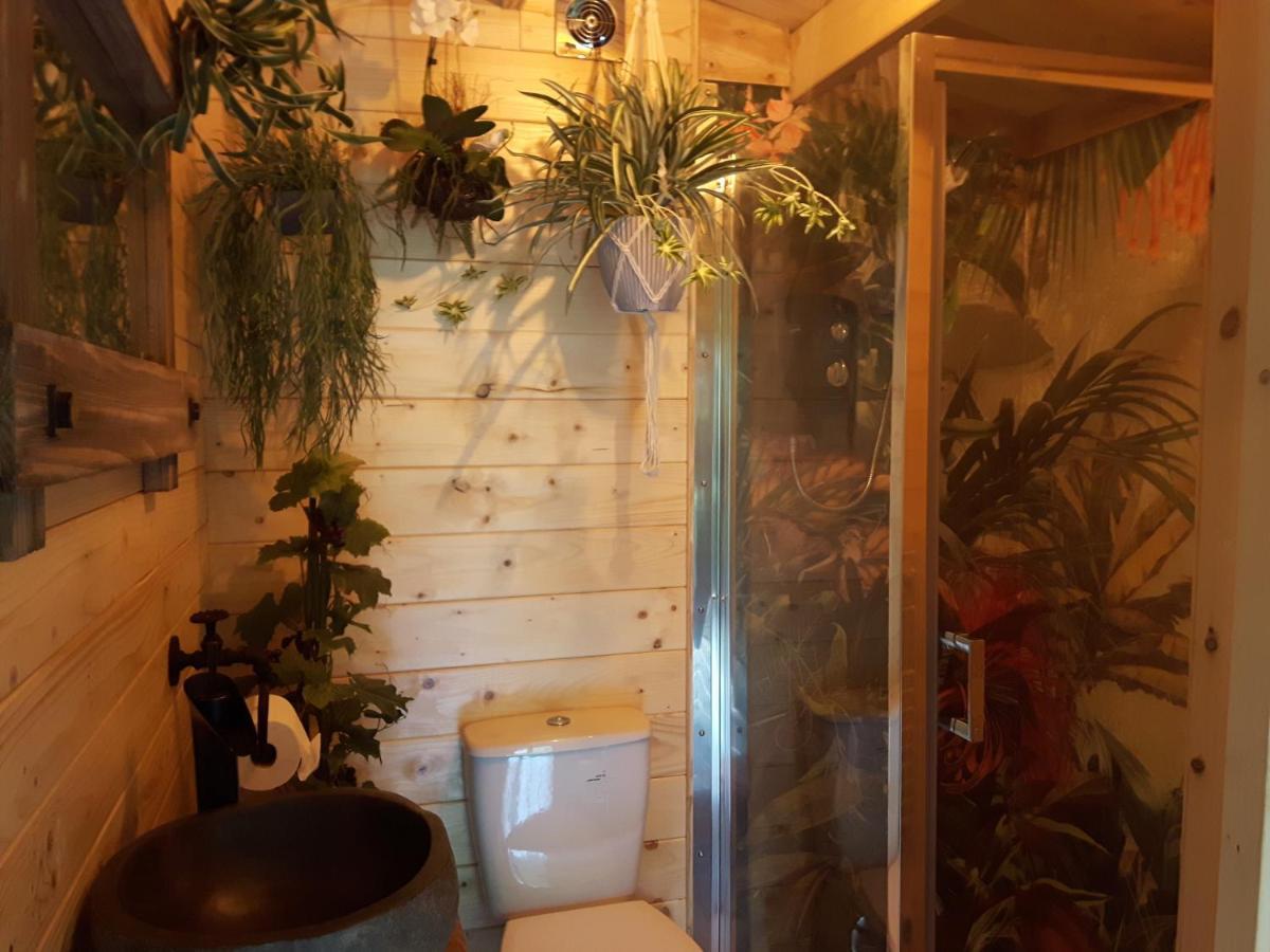 Cabin Set In A Beautiful Romantic Tropical Garden Sutton Coldfield Exterior photo