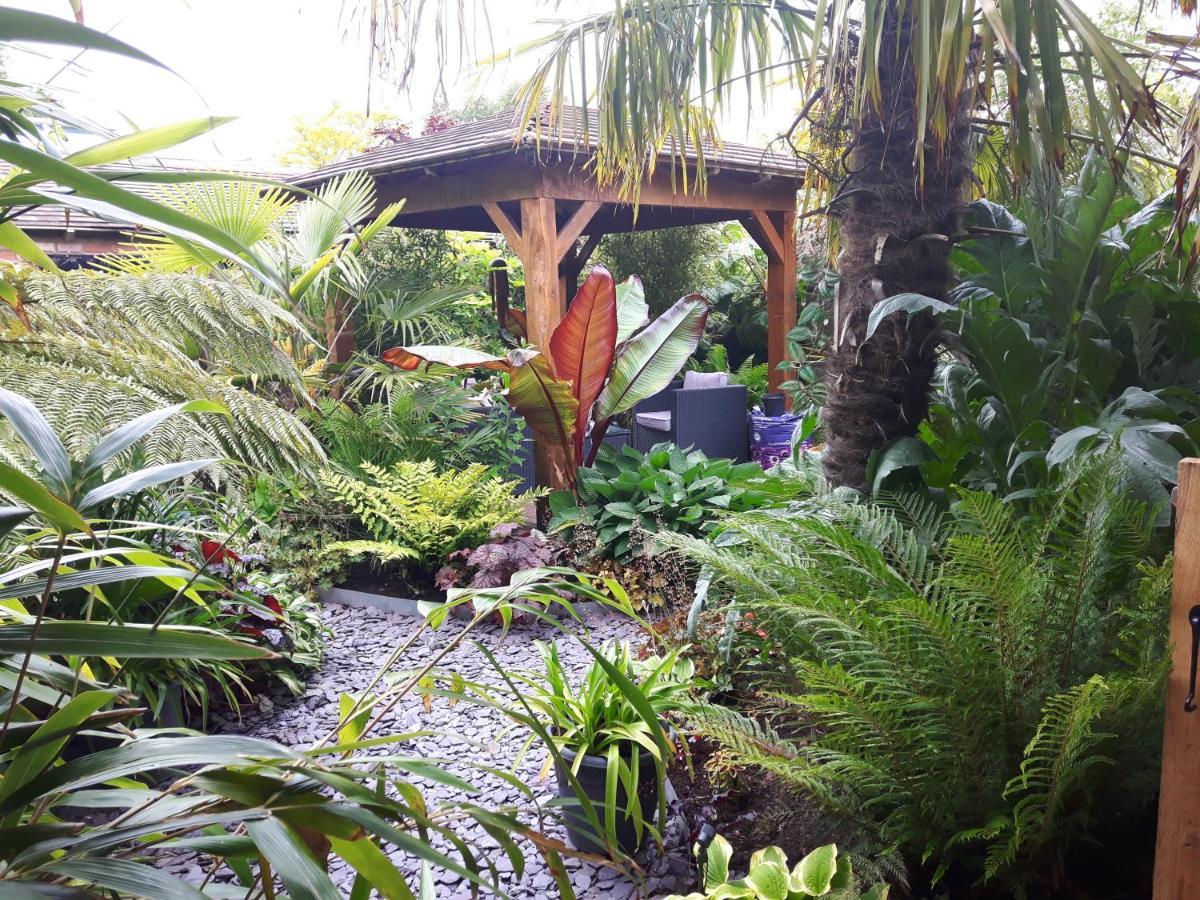 Cabin Set In A Beautiful Romantic Tropical Garden Sutton Coldfield Exterior photo